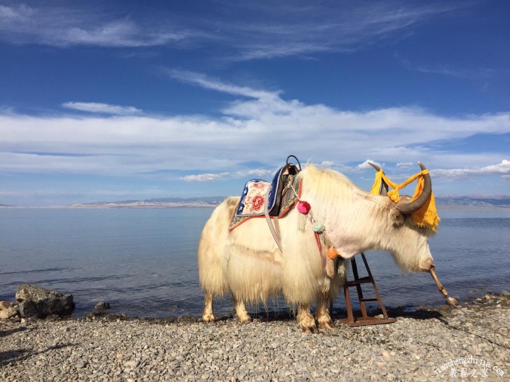 {壹葡}(青海旅游必去十大景点)
